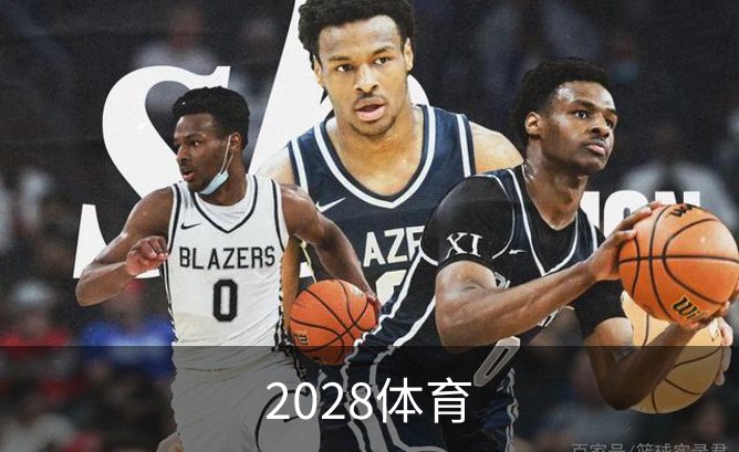 2028体育品牌故事